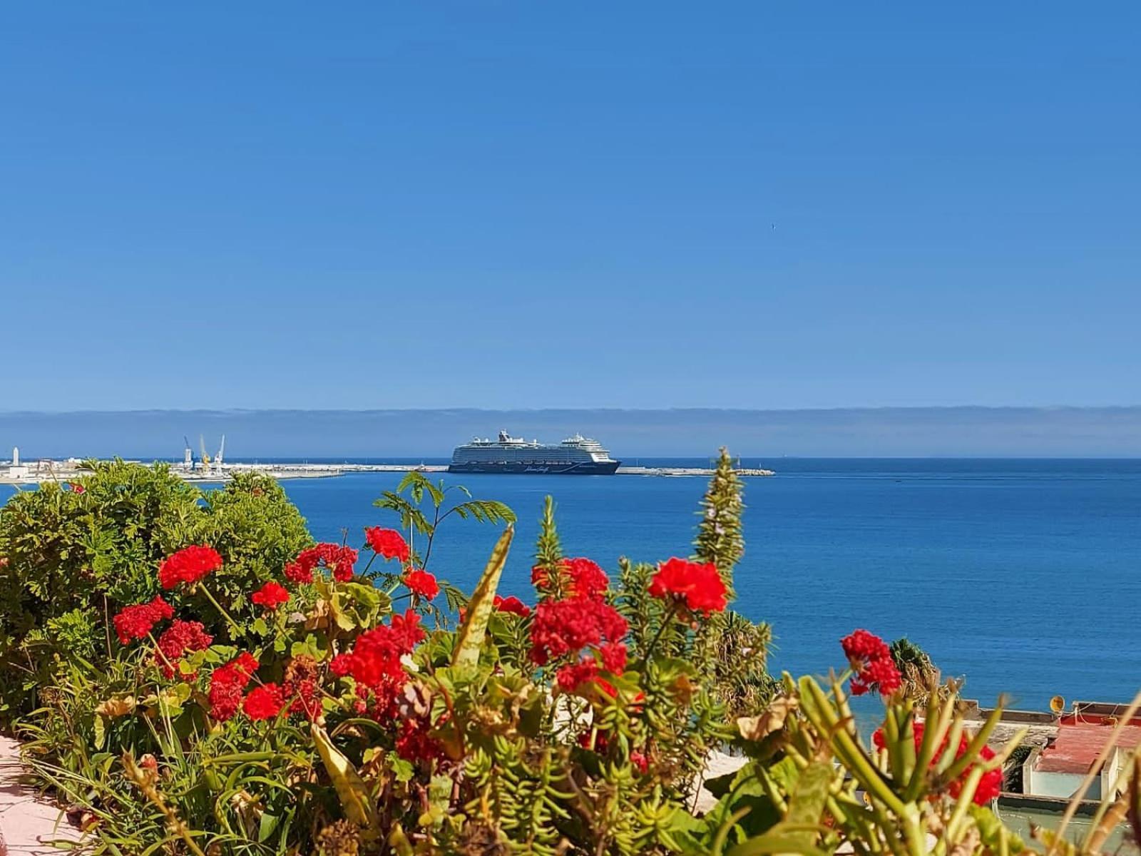 Appartement Bord De Mer Et Piscine En Option Tangier Room photo